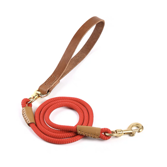 Leather Handle Leash | Red
